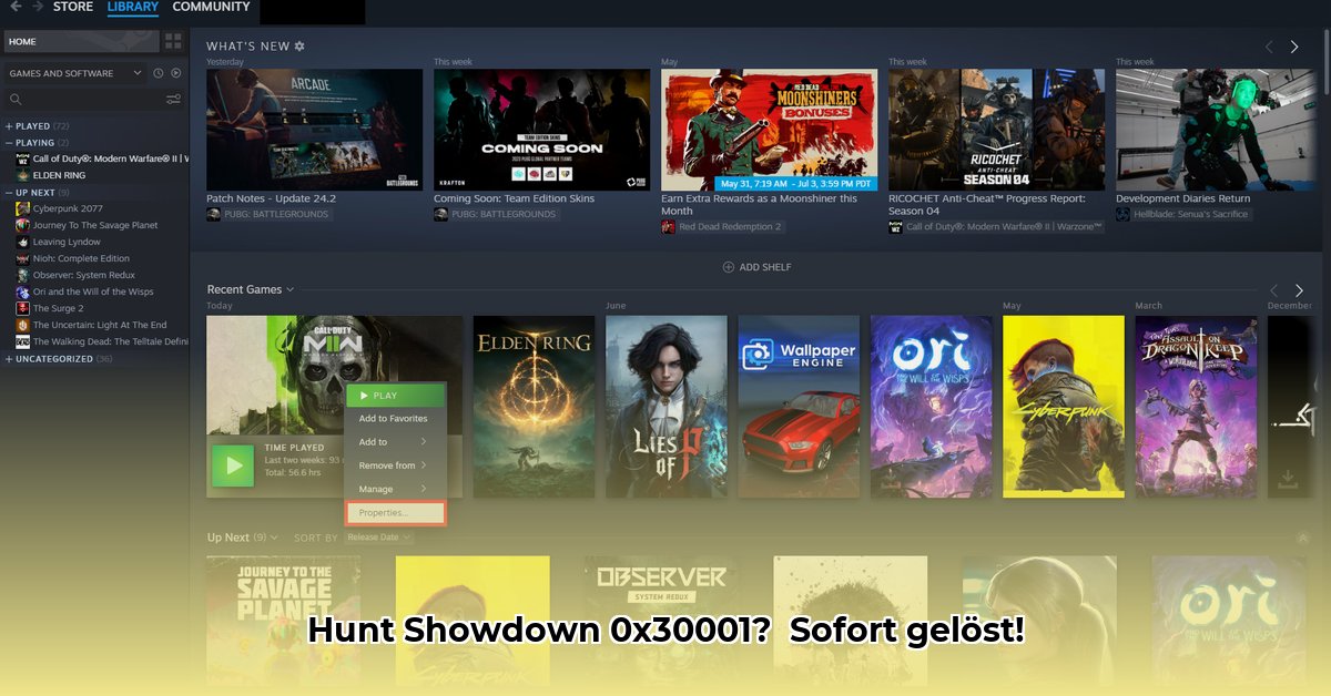 0x30001-error-hunt-showdown
